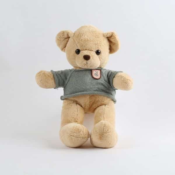 Teddy Bear in Dress Plush Toy