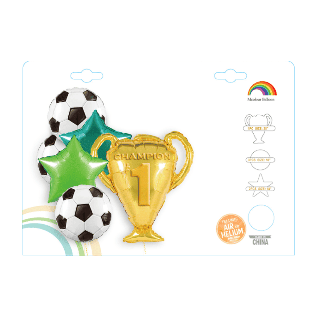 Ensemble de 6 ballons de football champion